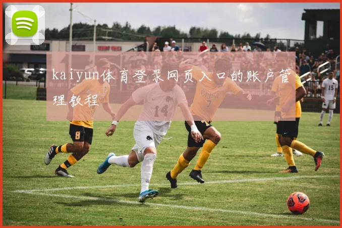 kaiyun体育登录网页入口的账户管理教程
