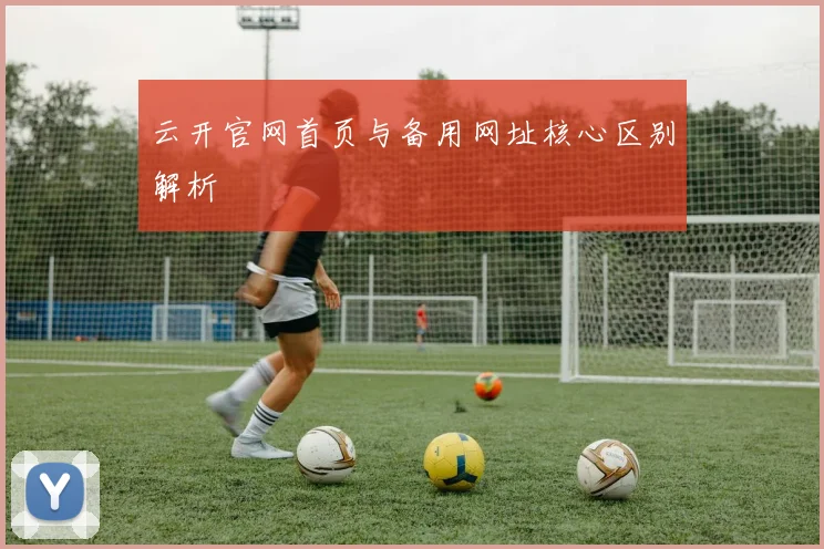 云开官网首页与备用网址核心区别解析