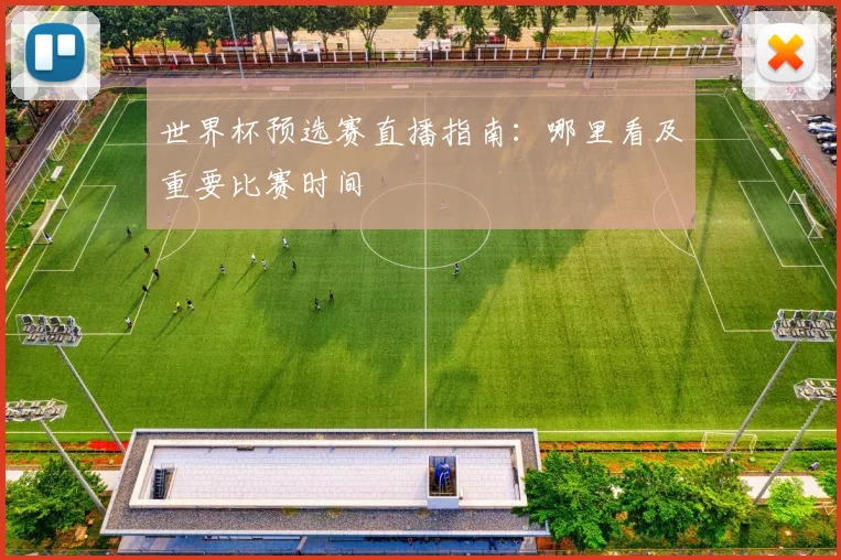 世界杯预选赛直播指南：哪里看及重要比赛时间
