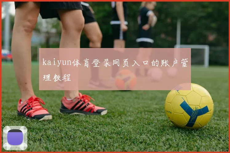 kaiyun体育登录网页入口的账户管理教程